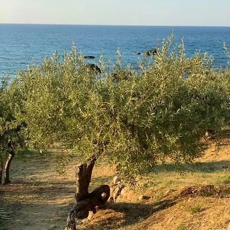 Ogliastro Sul Mare * Cefalu