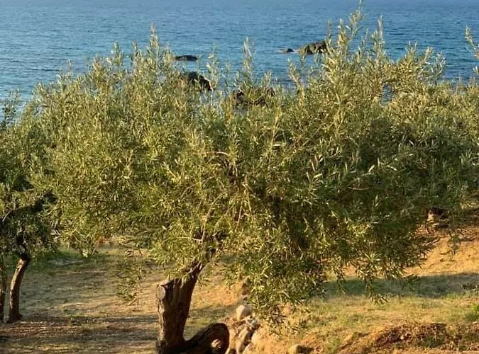 Ogliastro Sul Mare - Sleep And Dream * Cefalù